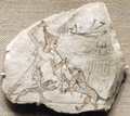 Ostracon04-RamessidePeriod MetropolitanMuseum