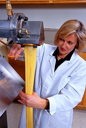 Archivo:Pasta-Herstellung