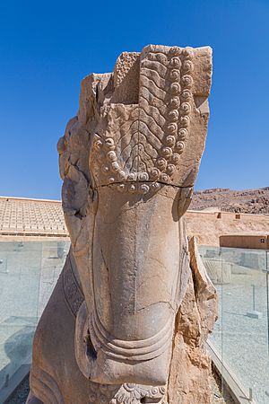 Archivo:Persépolis, Irán, 2016-09-24, DD 39