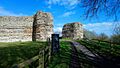 Pevensey Castle (30) (40269032085)