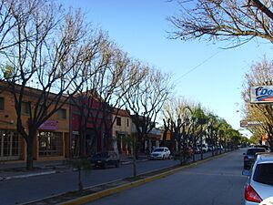 Archivo:PilarCentro