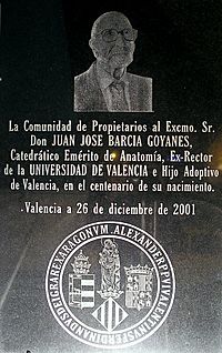 Archivo:Placa al doctor Barcia Goyanes
