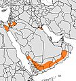 Present distribution of the gray wolf subspecies - Arabian wolf (Canis lupus arabs)