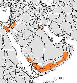 Distribución de Canis lupus arabs.