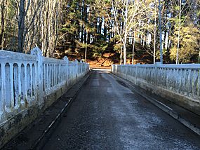 Archivo:Puente Rafael Tome Chile