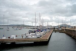 Archivo:Puerto de Piriápolis - panoramio (8)
