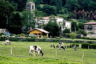 Quijano (2007) 02.jpg