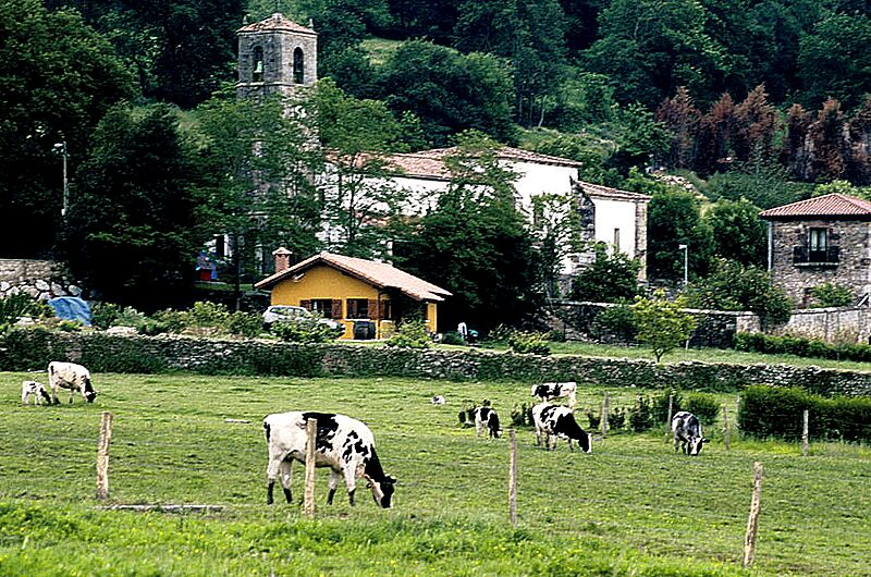 Quijano (2007) 02