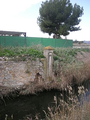 Archivo:Río Vinalopó a su paso por la Colonia