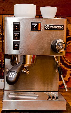 Archivo:RANCILIO SILVIA espresso machine