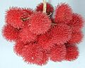 Rambutan Fruit