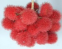 Archivo:Rambutan Fruit