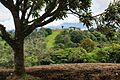 Rancho Redondo, Costa Rica 5