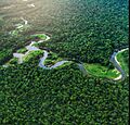 Reserva de la biósfera de río plátano Honduras