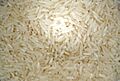 Ricegrains1100ppx