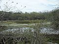 Sabakalal, Yucatán (28)