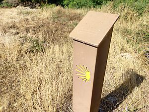 Archivo:Señal del Camino de Santiago a su paso por Binacua