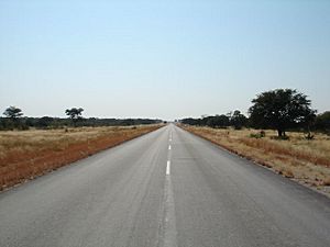Archivo:Sealed road on the way from Rundu to Etosha