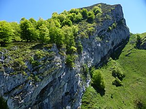 Archivo:Sedo del Toyu-Parque Natural de Ponga-Asturias-Spain