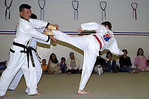 Archivo:Taekwondo1