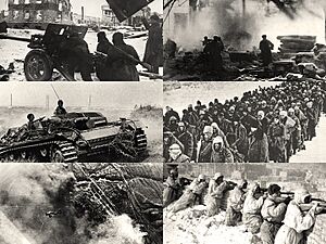 The Battle of Stalingrad second collage.jpg