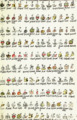 The Digital Edition of the Florentine Codex Book 1 0668 Calculations for the Aztec calendar