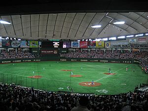 Archivo:TokyoDome GiantsFighters