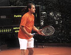 Archivo:Tommy Haas