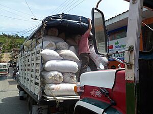 Archivo:Transport du café