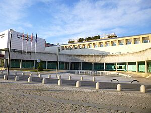 Archivo:Tres Cantos - Ayuntamiento 1
