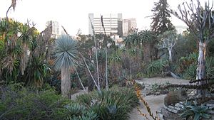 Archivo:UCLA BOT GARD 2009 023