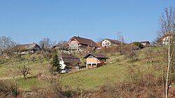 Wiggiswil view from the south.jpg
