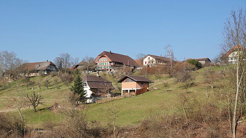 Wiggiswil view from the south