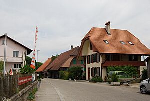 Archivo:2012-05-26-Seeland (Foto Dietrich Michael Weidmann) 339