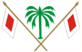 Ae sharjah-escudo