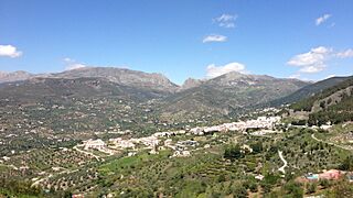 Alcaucín (Málaga).jpg