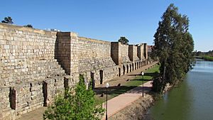 Archivo:Alcazaba Mérida 6639