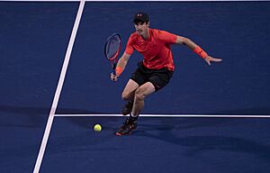Archivo:Andy Murray (29885062428)