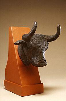 Archivo:Armenian - Head of a Bull - Walters 54791 - Three Quarter