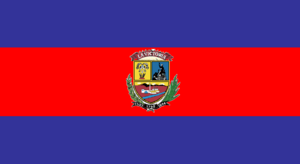Archivo:Bandera Jose Felix Ribas Aragua