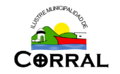 Bandera de Corral, Chile
