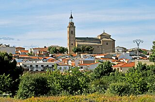 Cebolla (2024) 02.jpg
