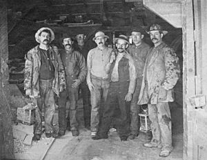 Archivo:Comstock miners