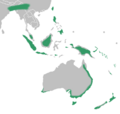 Corybas distribution map