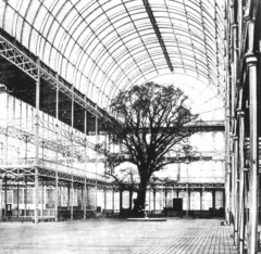 Archivo:Crystal Palace Great Exhibition tree 1851