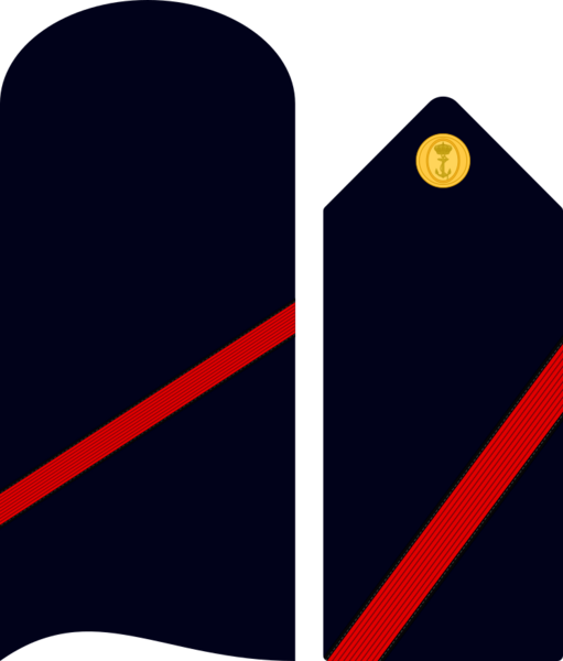 Divipalaarmadaes 02