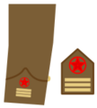 Ejerpopulardivi17