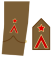Ejerpopulardivi9