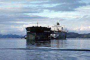 Archivo:Exxon Valdez Oil Spill (13266806523)
