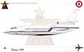 Falcon900